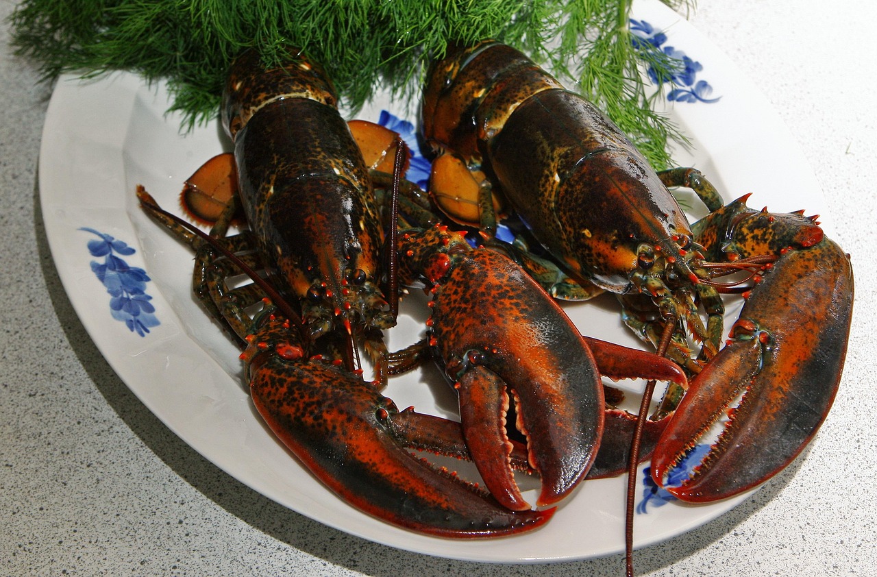 랍스터 요리